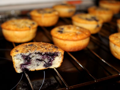 Blaubeer-Muffin